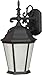Forte 17015-01-04 One Light Outdoor Lantern, Black Finish Frosted Seeded Glass