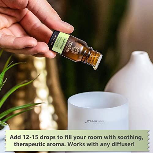 Poiema - Diffuser Essential Oil (Encourage) - Premium Essential Oil Diffuser Blend - Cleansing Thyme, Tea Tree, Eucalyptus, Lemon - 10 Ml #TOP3