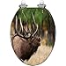 Elongated Toilet Seat elk Rocky Mountains Resin Toilet Seat Quietly Slow Close with Quick-Release Hinges Toilet Seat with Cover Easy to Clean Install