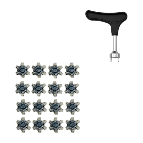 [MLWSKERTY] 16 StV[YXpCNpN[gscCXg^[lWX^bh~߃StV[Ysg₷StXpCNpX^bhlWB