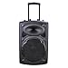 AW 1500W Portable Active PA Speaker w/Wireless Microphone Guitar AMP Bluetooth USB SD LCD FM Party Show
