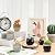 T4U Small Ceramic Succulent Planter Pots with Drainage Hole, Mini Flower Pots Indoor, Plant Lover Gifts for Women Mom Coworker for Birthday Christmas House Warming Home Office Decor
