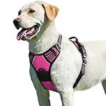 Eagloo Pettorina Cane Taglia Grande, Pettorina ad h Antifuga, Imbracatura per Cani Anti Tiro con Doppio Gancio, Imbracatura Cane Robusto e Regolabile per Addestramento, L, Rosa Rossa