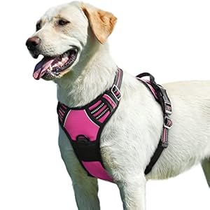 Eagloo Dog Harness No Pull, Walking Pet Harness with 2 Metal Rings and Handle, Adjustable Reflective Breathable Oxford Soft Easy Control Vest for Small Medium Large Dogs, Rose Red, L