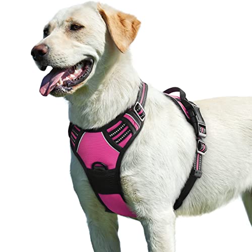 Eagloo Dog Harness No Pull, Walking Pet Harness with 2 Metal Rings and Handle, Adjustable Reflective Breathable Oxford Soft Easy Control Vest for Small Medium Large Dogs, Rose Red, L