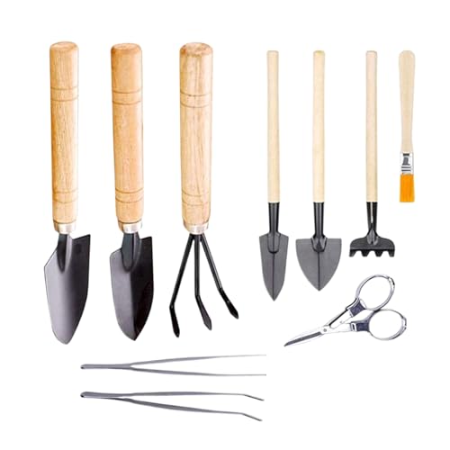 Set di Attrezzi da Giardino - Per Piantumazione Da 10 Pezzi Resistente Mini E Antiscivolo,Attrezzi Manuali Da Piantumazione,Per Balconi, Terrazze, Percorsi, Patii, Giardini E Cortili