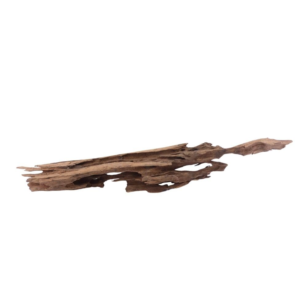 XL Honey Comb radice n. 1961 - Decorazione in legno per acquario, radice di mangrove, decorazione per paesaggio, muschio, naturale, vero legno