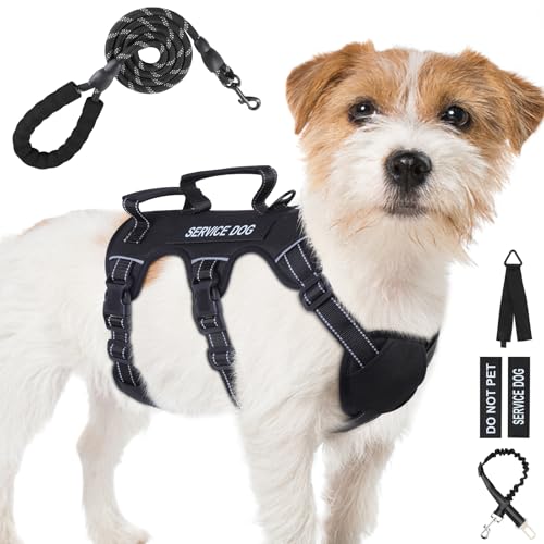 Escape Proof Dog Harness for Large Medium Sized Dogs Six Point Adjustable, Service Dog Vest Harness and Leash Set, No Pull Dogs Harnesses with Handle, Medium Dog Harnesses for Walking(Black, S)