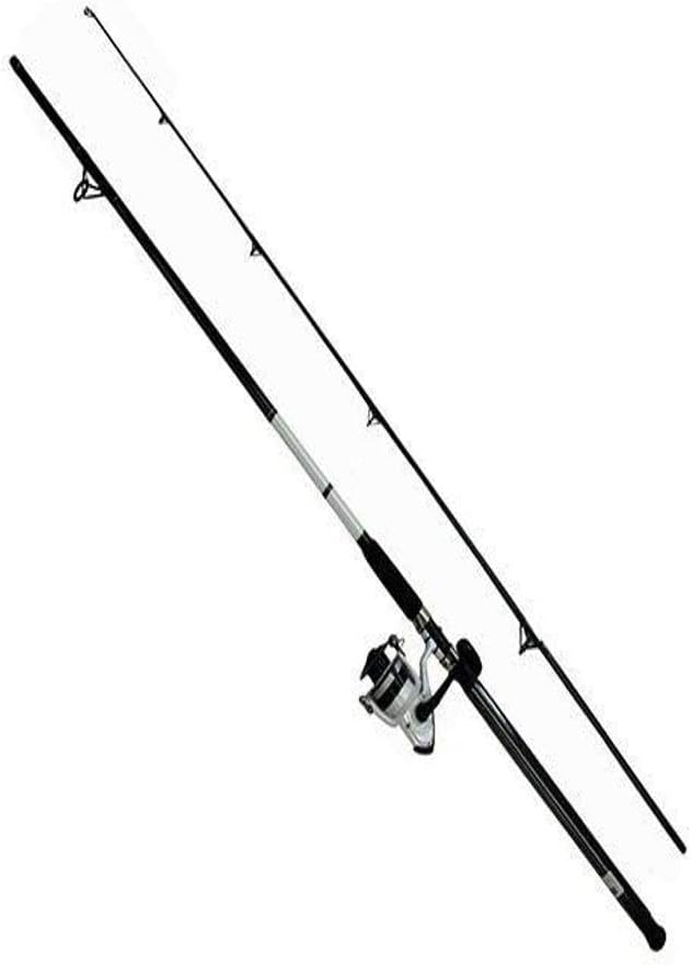 Daiwa D-Wave Saltwater Spinning Combo 11' Medium Nigeria Ubuy
