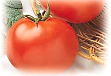 Rutgers Tomato 50 Seeds - Reliquia - Tomate Old Jersey