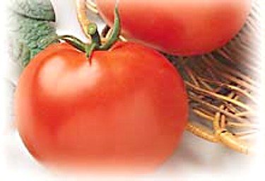 Hirts: Seed; Tomato Heirloom Rutgers Tomato, 50 Seeds