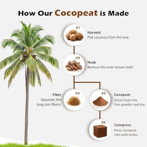 Image of Cocopeat Block 1kg | Organic Coco Coir Brick for Gardening, Potting Soil Mix & Hydroponics (Pack of 1)