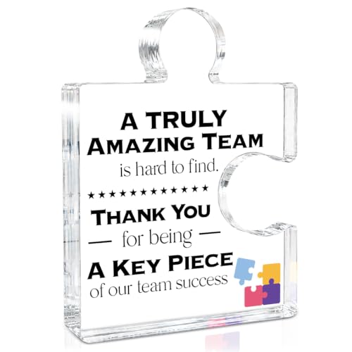 Team Thank You Appreciation Gifts for Coworkers Colleagues Employees, Teamwork Gift Best...