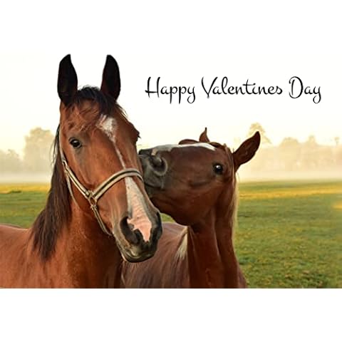 Horses Valentines Card 125mm x 178mm Including Envelope DH005 Cover