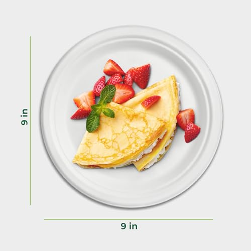 Image of Freshware Paper Plates - Disposable 9 inch Plate, 125-Pack Biodegradable Sugarcane Fiber Dinner Plates - Heavy Duty Dinnerware for Hot Food - Microwave & Freezer Safe, Stackable Dinnerware
