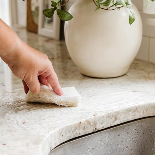 Image of Full Circle Coconut Scrubber Sponges, Pack of 6 - Dual-Sided, Plant-Based Sponges Made with Coconut Shells, Cellulose & Recycled Materials, Safe for Nonstick Cookware
