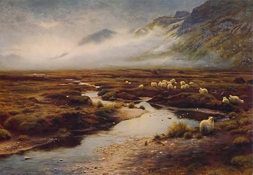 Cuadro el musgo en Poolewe lienzo artístico de alta fidelidad Farquharson 60x90