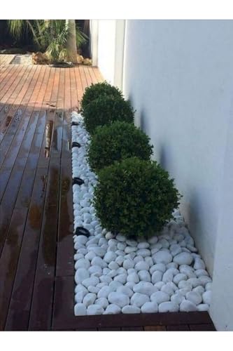 Dolomit Taş 50 Kg 6-10 Cm Dere Taşı Çakıl Taşı Bahçe Süs Taşı Dolamit Taş Dekoratif Taş