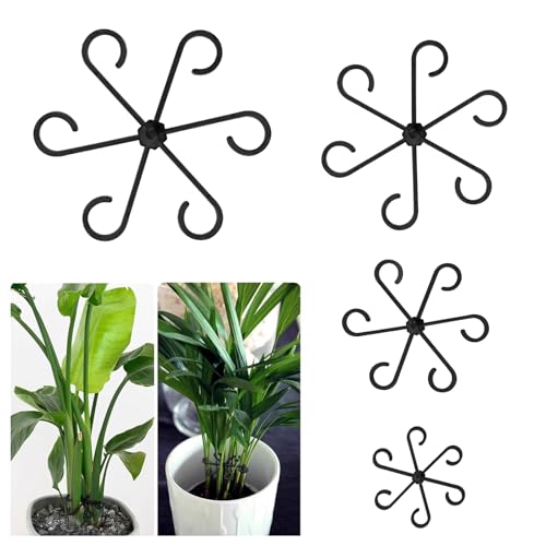 12 Stück Pflanzenstütze Staudenhalter 4 Größen Staudenhalter Stützring Pflanze Stängelstützen Ring für Pflanzen, Blume, Hortensien, Rosen, Tomaten 12 Stück Pflanzenstütze Staudenhalter 4 Größen Staudenhalter Stützring Pflanze Stängelstützen Ring für Pflanzen, Blume, Hortensien, Rosen, Tomaten