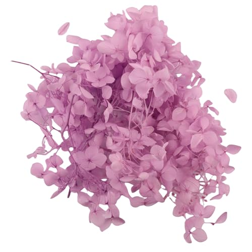 Gkhlg 1 Stück Trockenblume Hortensie Natürliche Deko für Kuchen Cupcake Dekorieren Bastelprojekte Trockenblumen für Dekoration für Bäcker Party Planer DIY Enthusiasten (Flieder)