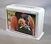 Classic Tan Handmade Pet Cremation Urn Keepsake (Small, white)
