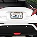 Personalized License Plate Frame Stainless Steels Cute Cheetah Leopard Brown License Plate Car Tag Holder with 4 Holes and Screws for Women Men Auto for USA Canada Vehicles Standard (12