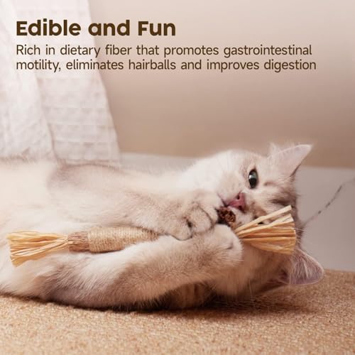 Redreo Cat Silvervine Chew Sticks, 3pcs Natural Cat Teeth Nip Cleaning Catnip Toys for Indoor Cats Kitten Teething and Stress - Image 5