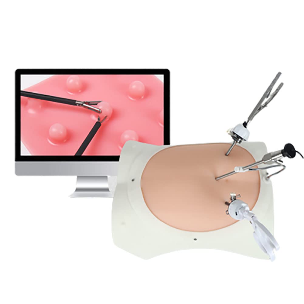 Skeleton Model Laparoscopic Trainer Box Simulator Laparoscopy Trainer Box, Suture Pad, Full Set Simulated Training Kit, 4 Surgical Instruments 9 Training Modules for Medical Doctor And Students Nur