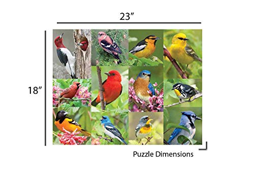 Springbok 36 Piece Jigsaw Puzzle Birds Of A Feather, Multi, 500 #TOP3