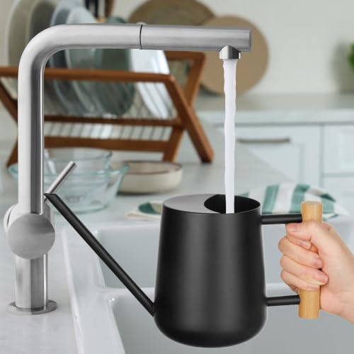 OFFCUP 35oz 1L Watering Can, Stainless Steel Mini Small Watering Can - Image 4