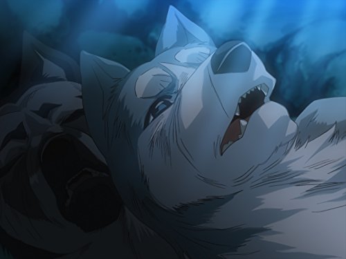 第26話 真・銀牙伝説