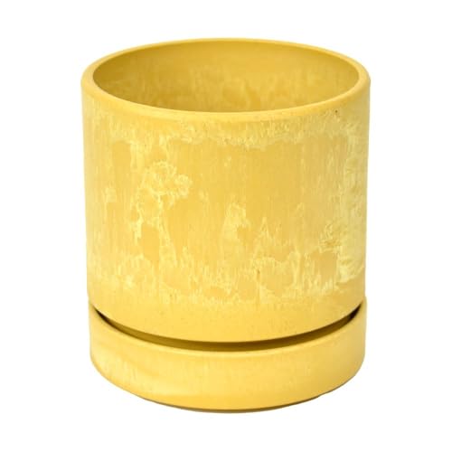 yv^[zCG[S[h R 󂯎Mt a10cm | ϗtA  Aؔ TCN LEAD STYLE