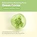 TOSOWOONG Green Caviar Pore Ampoule With 2,500ppm Green Caviar, Niacinamide, Pore Minimizer, Hydrating, Firming, Pore Tightening, Reduces Pores, Korean Skin Care, 33ml, 1.11 fl.oz.