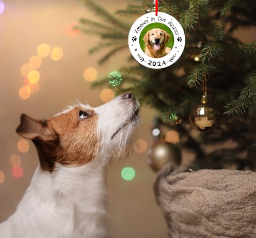 WaaHome Picture Frame Dog Memorial Christmas Ornaments 2024 Forever In Our Hearts Pet Memorial Ornaments for Christmas Tree, Pet Memorial Gifts, Sympathy Remembrance Gifts for Loss of Dog Cat Pet WaaHome Picture Frame Dog Memorial Christmas Ornaments 2024 Forever In Our Hearts Pet Memorial Ornaments for Christmas Tree, Pet Memorial Gifts, Sympathy Remembrance Gifts for Loss of Dog Cat Pet