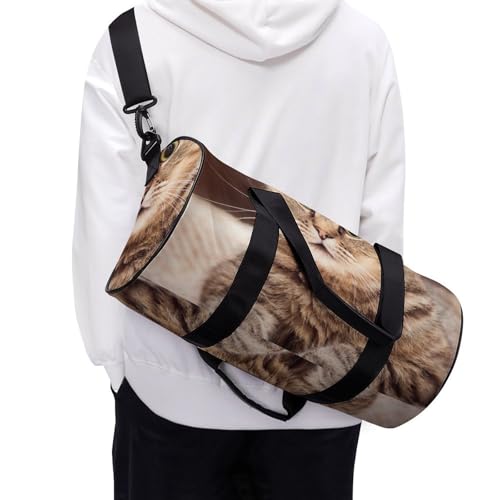 Sac de voyage chat brun mignon compact pour simplifier vos déplacements