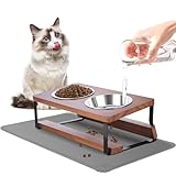 Qyapeixy Elevated Cat Bowls with Food Mat, 2 Stainless Steel Bowls for Food and Water, 15° Tilted Raised Cat Feeder for Indoor Cats and Puppy, Brown