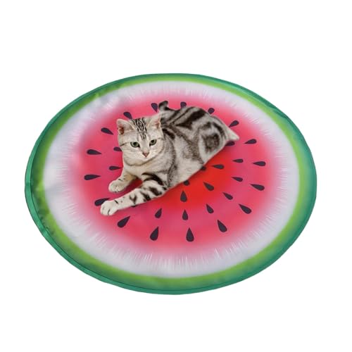 Tapis rafraîchissant pour animaux domestiques matelas ventilé chiot