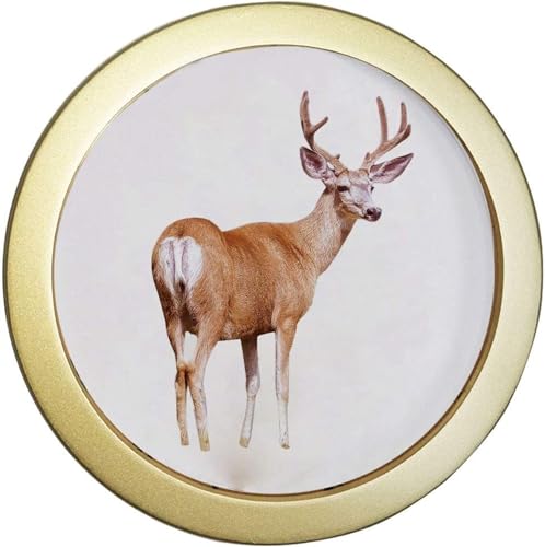 Teogneot Marco de fotos redondo para colgar en la pared, marco de fotos para decoración de sala de estar, marco de pintura artística (Dorado，7 pulgadas)