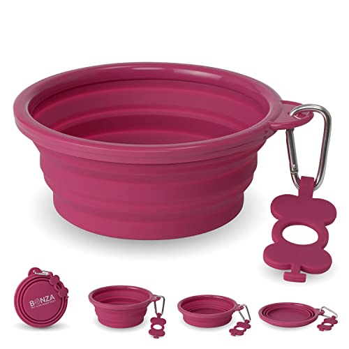 Bonza Large Collapsible Dog Bowl 1000 mL, Sturdy Reinforced Rim, Includes Carabiner & Water Bottle Holder Keychain, Pink