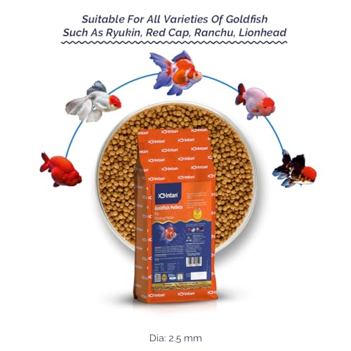 Image of Intan Goldfish Pellets Fish Food | Big Floating Pellets for Fish | Daily Nutrition Fish Feed for Health & Growth |Big Pouch 1 Kg Pellet Size - 2.5 mm Dia, Pack of 1,All Life Stages
