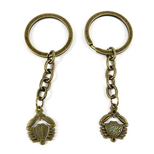 100 piezas de bronce antiguo tono llavero joyería broches proveedores W2TH7J cáncer