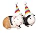 Barn Eleven 2pcs Hamster Guinea Pig Mini Caps Hamster Hat Rabbit Bunny Hat,Festival Party Small Animals Rainbow Headwear Accessories for Pets