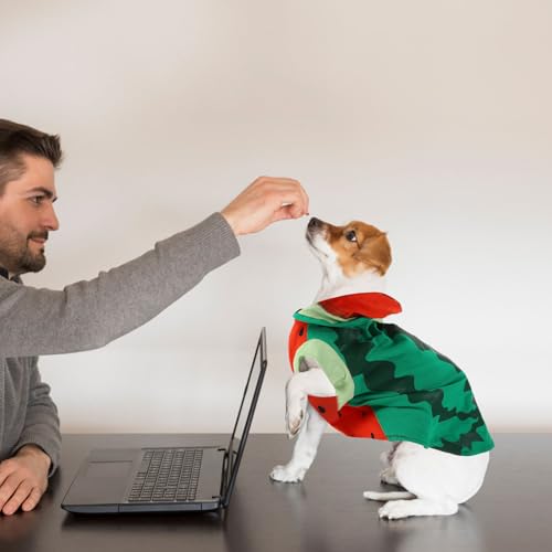 Disfraz para perro en forma de sandía talla XL miniatura 4