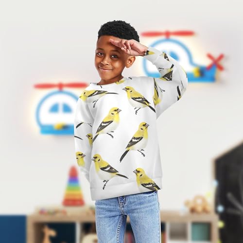 JUNZAN Aesthetic American Goldfinch Birds White Big Boys Sweatshirts Hoodies Crewneck Hoodies for Girls Athletic 4T4
