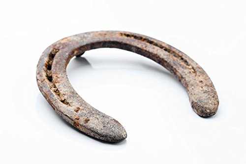 pmw - Black Horse Shoe - Kale Gode Ki Naal - For Good Luck & Prosperity - 1 Shoe