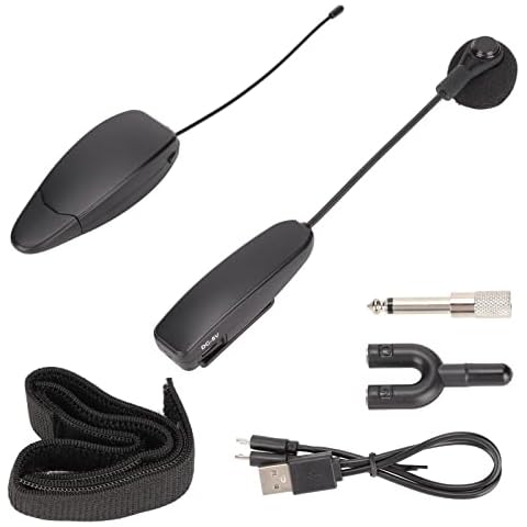 Microphone sans Fil Bewinner Cover