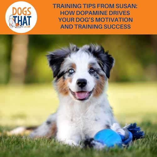 Training Tips From Susan: How Dopamine Drives Your Dog’s Motivation And Training Success cover art
