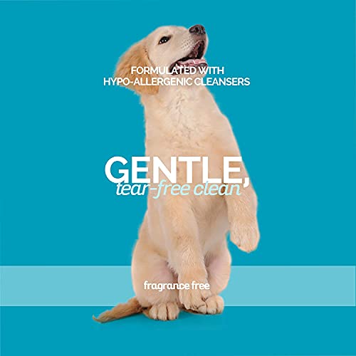 Bark2Basics Sensi-Skin Hypoallergenic Shampoo, 16 Oz - Naturally Derived, Sensitive Skin Pet Shampoo, Gentle, No Fragrance, Non-Irritating, For Dogs With Allergies And Dry, Itchy Skin #TOP3