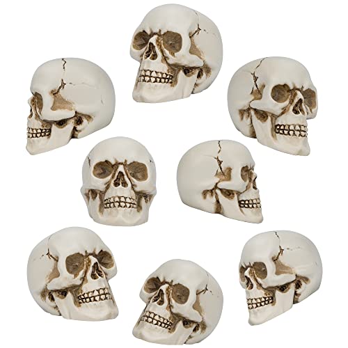 Readaeer 8 Pieces Resin Skull Small Realistic Human Skull Replica Model For Home Decoration #TOP24