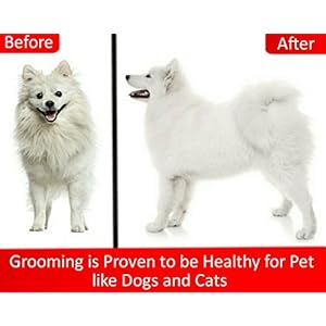 Mr. Peanut’s Grooming Glove Brush and Deshedding Aid – Pet Hair Remover Mitt – for Long and Short Hair Grooming of Dogs, Horses, Bunnies and Some Agreeable Cats